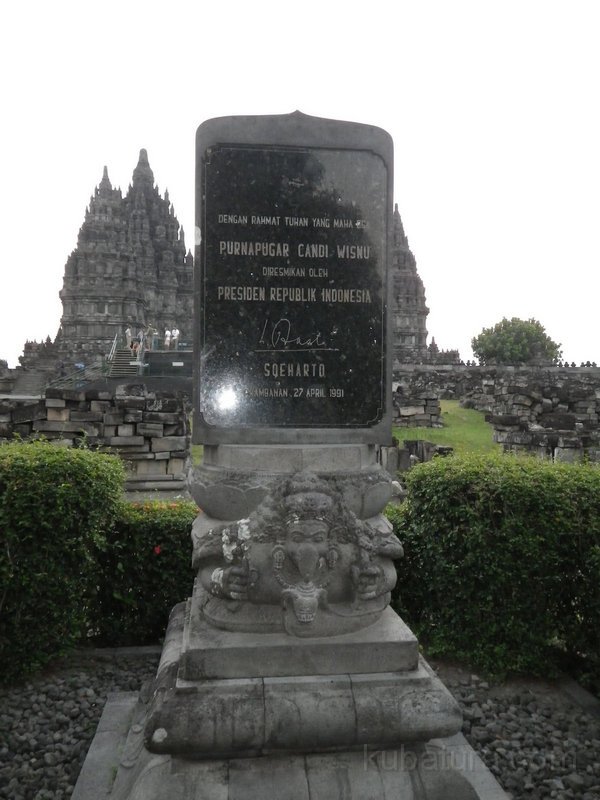 540 IMGP1139.jpg